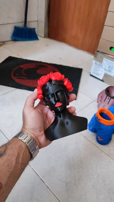 https://makerworld.bblmw.com/makerworld/model/1051505/1038391/ratings/16c331e0-783b-11f0-8ff1-65e79120a5c1.jpg