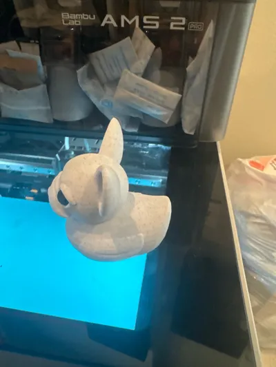 https://makerworld.bblmw.com/makerworld/model/1051579/1038424/ratings/20bfe710-6d64-11f0-a746-dd765d8f833e.jpg