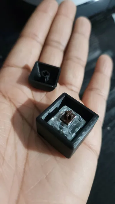 https://makerworld.bblmw.com/makerworld/model/1052769/1039809/ratings/2271a1d0-e51d-11f0-9ae0-ef021684904e.jpg