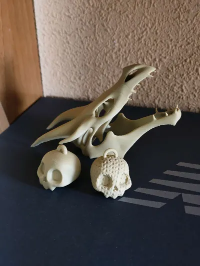 https://makerworld.bblmw.com/makerworld/model/1052771/1175564/ratings/fec6e900-3669-11f0-b32d-4106b13090c7.jpg