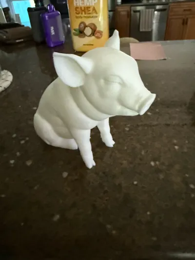 https://makerworld.bblmw.com/makerworld/model/1052834/1039897/ratings/3ad419d0-4b24-11f0-a2b3-d741f95a0993.jpg