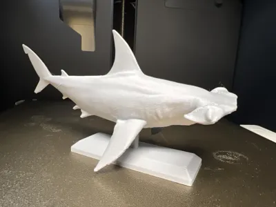Hammerhead Model Making Hammerhead Shark Mount by Fish Prints MakerWorld: Download Free 3D Models