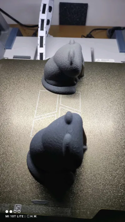 https://makerworld.bblmw.com/makerworld/model/1054898/1046691/ratings/ef717970-5937-11f0-8800-bb20c4caa5f2.jpg