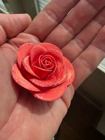 https://makerworld.bblmw.com/makerworld/model/1056354/1043925/ratings/20d12a10-6df1-11f0-8e96-b9a9e9c6a187.jpg