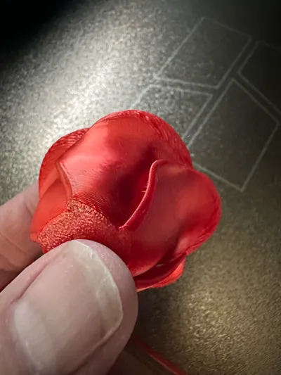 https://makerworld.bblmw.com/makerworld/model/1056354/1043925/ratings/20d6a850-6df1-11f0-8e96-b9a9e9c6a187.jpg