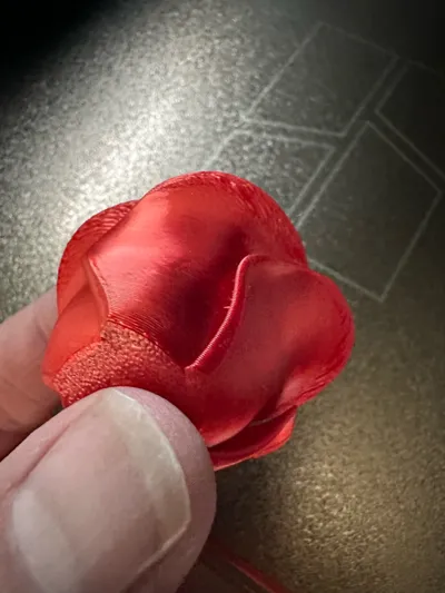 https://makerworld.bblmw.com/makerworld/model/1056354/1043925/ratings/20dc2690-6df1-11f0-8e96-b9a9e9c6a187.jpg