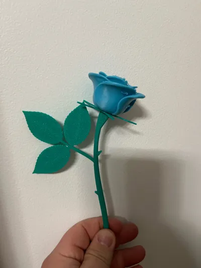 https://makerworld.bblmw.com/makerworld/model/1056354/1043925/ratings/299f1490-d78c-11f0-92ac-797f8b18df14.jpg