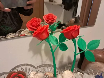 https://makerworld.bblmw.com/makerworld/model/1056354/1043925/ratings/4e8821d0-2a75-11f0-bf02-3bf24be97372.jpg