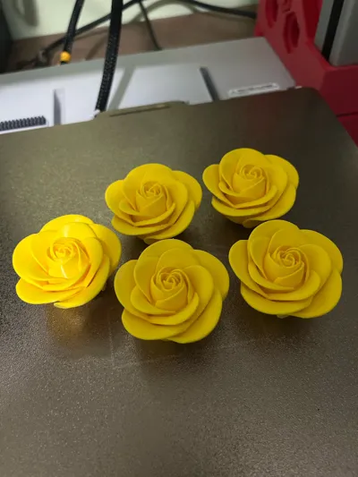 https://makerworld.bblmw.com/makerworld/model/1056354/1043925/ratings/55aa36f0-5fa0-11f0-b1ac-d5fdfb8aabb5.jpg