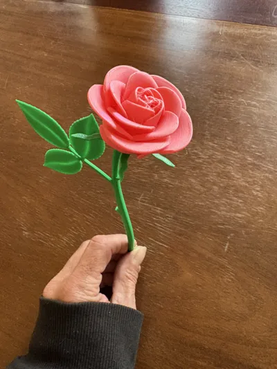 https://makerworld.bblmw.com/makerworld/model/1056354/1043925/ratings/8b390060-1795-11f0-a544-4345196affc2.jpg