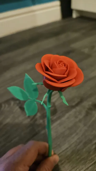 https://makerworld.bblmw.com/makerworld/model/1056354/1043925/ratings/bd3ea4b0-1fbb-11f0-b86a-7db4236fde83.jpg