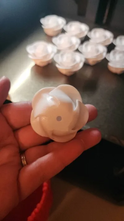 https://makerworld.bblmw.com/makerworld/model/1056354/1043925/ratings/e9be1900-ed0e-11f0-9317-3d5e3b3e2fc5.jpg
