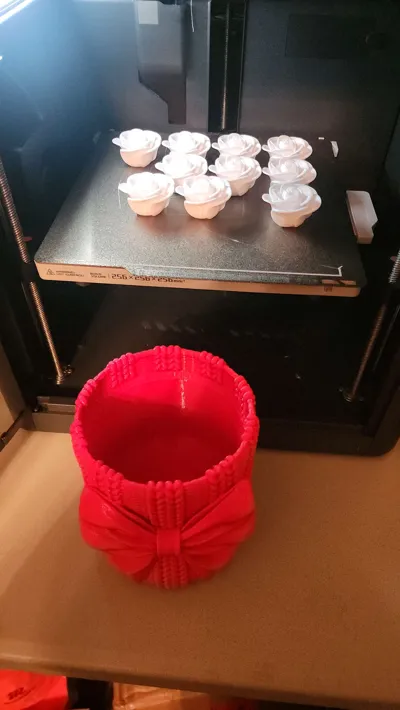 https://makerworld.bblmw.com/makerworld/model/1056354/1043925/ratings/e9bf7890-ed0e-11f0-9317-3d5e3b3e2fc5.jpg