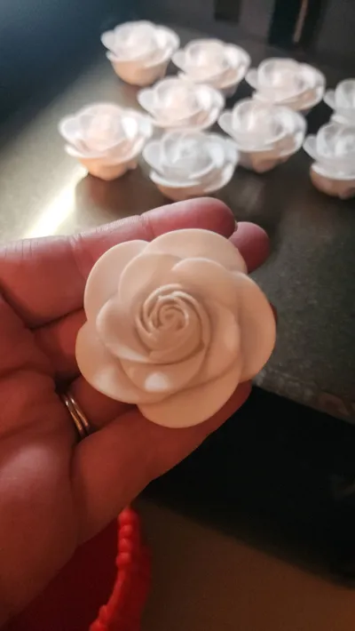 https://makerworld.bblmw.com/makerworld/model/1056354/1043925/ratings/e9c60840-ed0e-11f0-9317-3d5e3b3e2fc5.jpg