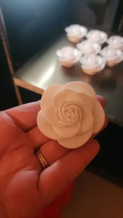 https://makerworld.bblmw.com/makerworld/model/1056354/1043925/ratings/e9d3eaf0-ed0e-11f0-9317-3d5e3b3e2fc5.jpg