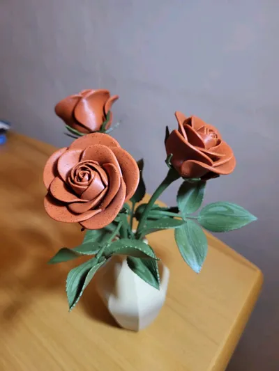 https://makerworld.bblmw.com/makerworld/model/1056354/1044349/ratings/912b49a0-176e-11f0-a0ee-3fcecd9e55e9.jpg