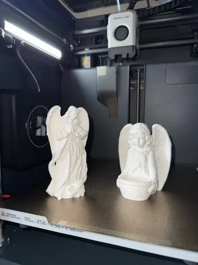 https://makerworld.bblmw.com/makerworld/model/1056847/1044460/ratings/d6155210-0fc9-11f0-b85c-fda9a9f79580.jpg