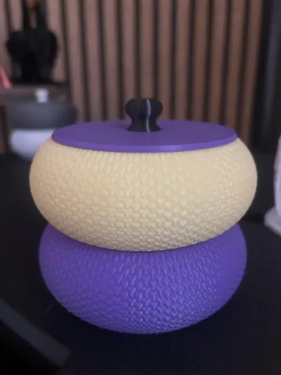 https://makerworld.bblmw.com/makerworld/model/1057834/1045558/ratings/47f79941-d470-11f0-82a5-3be3aae87dde.jpg
