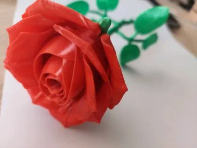 https://makerworld.bblmw.com/makerworld/model/1058221/1046016/ratings/15488ce0-86ee-11f0-827a-c1f419ca052b.jpg