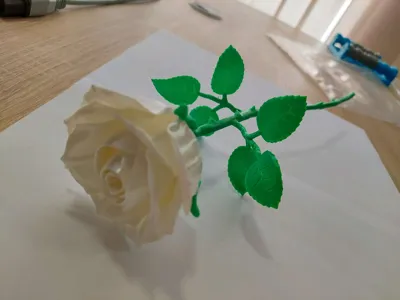 https://makerworld.bblmw.com/makerworld/model/1058221/1046016/ratings/154a3a90-86ee-11f0-827a-c1f419ca052b.jpg