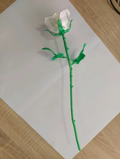 https://makerworld.bblmw.com/makerworld/model/1058221/1046016/ratings/155425a0-86ee-11f0-827a-c1f419ca052b.jpg
