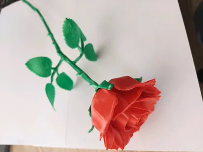 https://makerworld.bblmw.com/makerworld/model/1058221/1046016/ratings/15562170-86ee-11f0-827a-c1f419ca052b.jpg