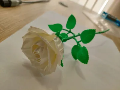 https://makerworld.bblmw.com/makerworld/model/1058221/1046016/ratings/1558e090-86ee-11f0-827a-c1f419ca052b.jpg