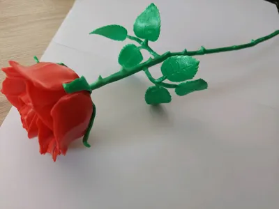 https://makerworld.bblmw.com/makerworld/model/1058221/1046016/ratings/15675f80-86ee-11f0-827a-c1f419ca052b.jpg