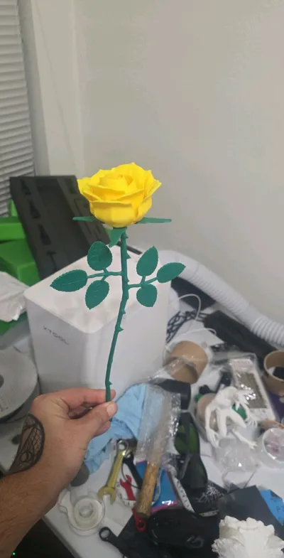 https://makerworld.bblmw.com/makerworld/model/1058221/1046016/ratings/48e97cb0-e2fd-11f0-821c-97bf715f0218.jpg