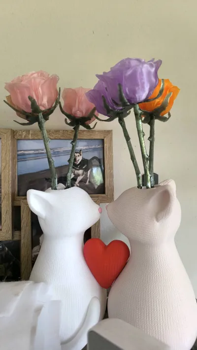 https://makerworld.bblmw.com/makerworld/model/1058221/1046016/ratings/6ab00270-3e24-11f0-b502-5390057d85ac.jpg