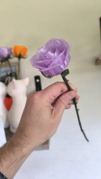 https://makerworld.bblmw.com/makerworld/model/1058221/1046016/ratings/6ab09eb0-3e24-11f0-b502-5390057d85ac.jpg