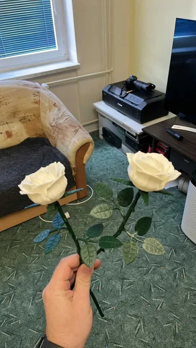 https://makerworld.bblmw.com/makerworld/model/1058221/1046016/ratings/7969cb50-a36b-11f0-9ddc-2940471523cd.jpg