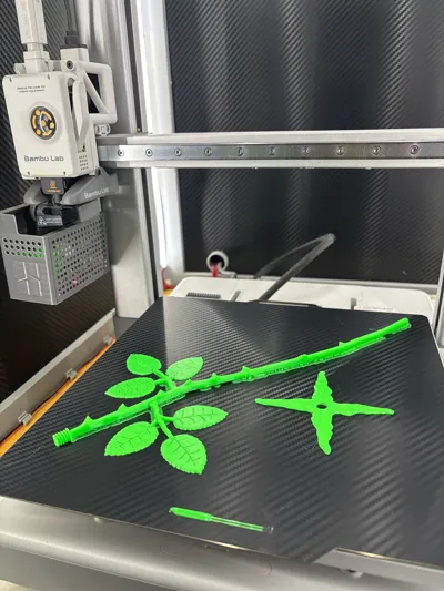 https://makerworld.bblmw.com/makerworld/model/1058221/1046016/ratings/c6060230-fae6-11f0-9284-03bc786a8b8a.jpg