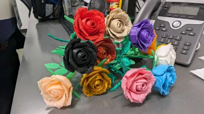 https://makerworld.bblmw.com/makerworld/model/1058221/1046016/ratings/ce4834c0-5ae3-11f0-9d36-8b91b48a8d5e.jpg