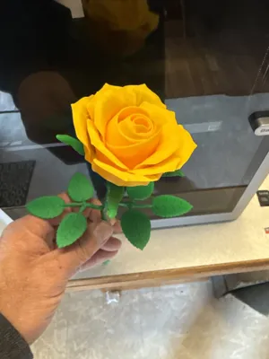 https://makerworld.bblmw.com/makerworld/model/1058221/1046016/ratings/ce5404b0-05a9-11f0-843d-7db4c81ce007.jpg