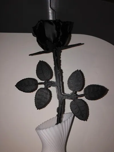 https://makerworld.bblmw.com/makerworld/model/1058221/1046016/ratings/df000fe0-959e-11f0-b692-3d36ac4c1cc7.jpg