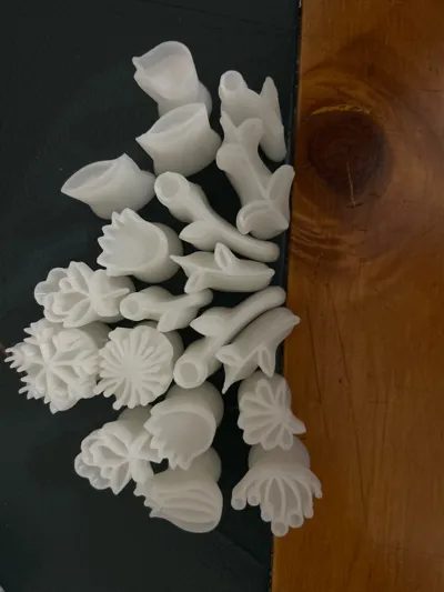 https://makerworld.bblmw.com/makerworld/model/1059421/1047477/ratings/630f7700-6b7c-11f0-84d7-a95e8a72191f.jpg