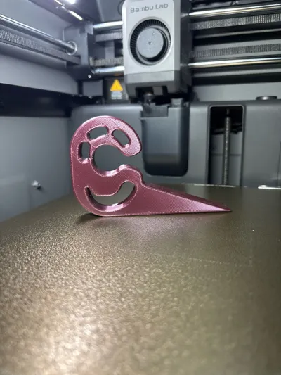 https://makerworld.bblmw.com/makerworld/model/1060822/1048983/ratings/e9f5ccb0-f844-11f0-9b45-67f1dbdc6acb.jpg