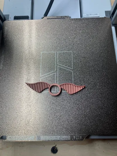 https://makerworld.bblmw.com/makerworld/model/1061002/1049219/ratings/1fcab730-e2cc-11f0-980c-8d0eb5d7fc09.jpg