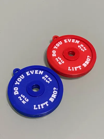 https://makerworld.bblmw.com/makerworld/model/1061353/1111295/ratings/583dec60-4f95-11f0-a51f-6d10d57b31a8.jpg