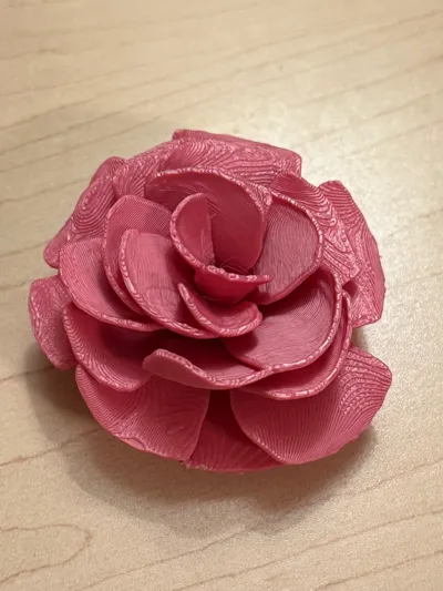 https://makerworld.bblmw.com/makerworld/model/1062669/1051182/ratings/63721f00-3bdd-11f0-bc14-855d71e4b320.jpg