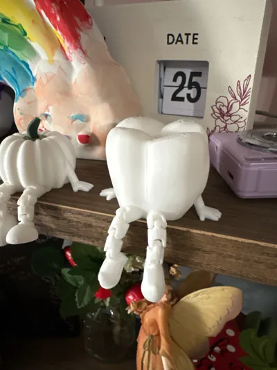 https://makerworld.bblmw.com/makerworld/model/1063186/1051804/ratings/132cc820-927b-11f0-a9a8-1153de83c45c.jpg
