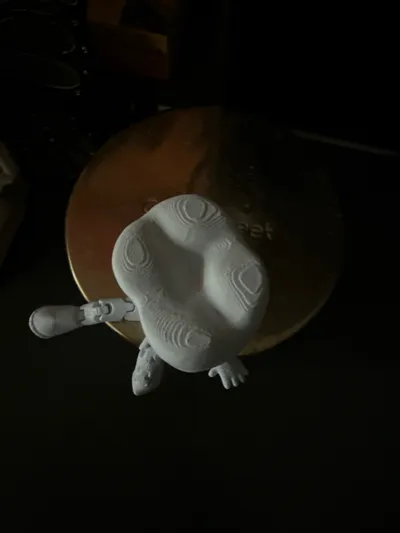 https://makerworld.bblmw.com/makerworld/model/1063186/1051804/ratings/b2552aa0-f0b8-11f0-983e-d5d02cc83bc6.jpg