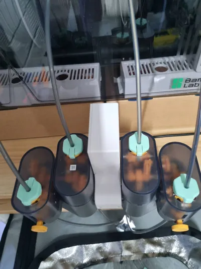 https://makerworld.bblmw.com/makerworld/model/1063709/1052385/ratings/262ca5e0-6f5c-11f0-8917-096e54b424c9.jpg