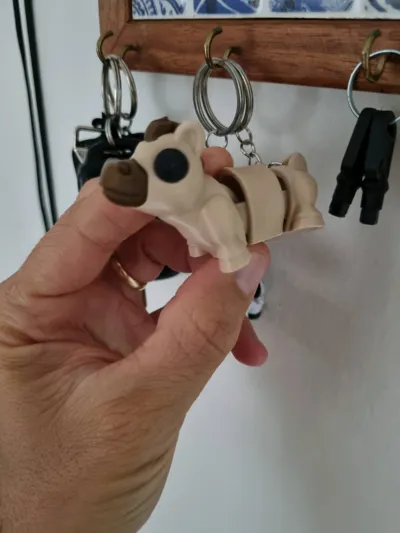 https://makerworld.bblmw.com/makerworld/model/1064082/1052824/ratings/3d2253f0-5506-11f0-9b68-4f8469f103ec.jpg