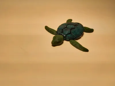 https://makerworld.bblmw.com/makerworld/model/1065650/1054757/ratings/b0a552c0-65c6-11f0-83c6-b9ab1d7cde98.jpg