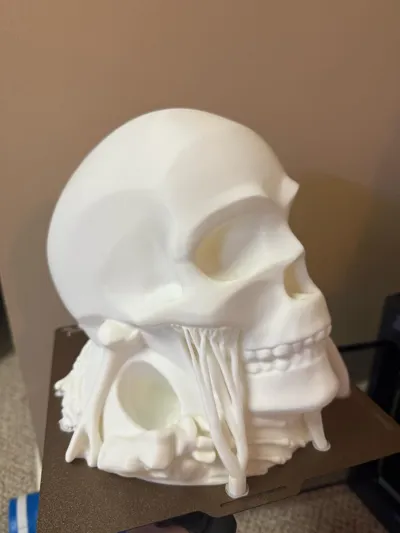 https://makerworld.bblmw.com/makerworld/model/1065873/1054942/ratings/5b859120-cc77-11f0-9c83-6f3004ac64c9.jpg