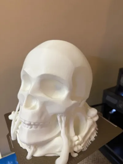 https://makerworld.bblmw.com/makerworld/model/1065873/1054942/ratings/5b85df40-cc77-11f0-9c83-6f3004ac64c9.jpg