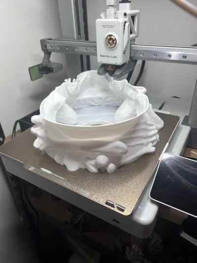 https://makerworld.bblmw.com/makerworld/model/1065873/1054942/ratings/8a1a4ef1-1eb1-11f0-94d8-45dd53d6e1e4.jpg