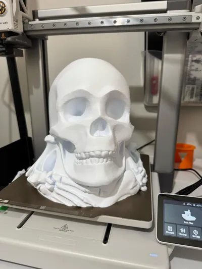 https://makerworld.bblmw.com/makerworld/model/1065873/1054942/ratings/f76694d0-6738-11f0-905b-61bfad3227cd.jpg
